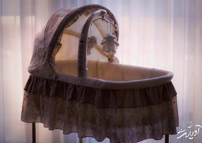 خرید گهواره اکو  گهواره اکو